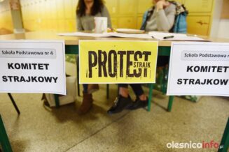 strajk_nauczycieli_75X_5625-20190408