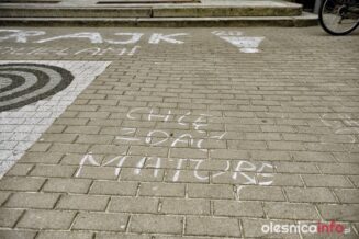 strajk_nauczycieli_ILO_700_1170-20190424