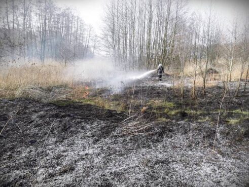 straz55680143_2119194254860668_3623387066928201728_o