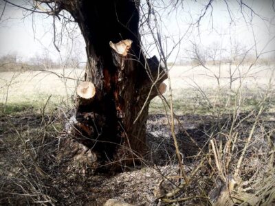 Bierutowscy strażacy interweniowali cztery razy