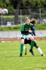 APO_Piast_Zmigrod_700_2585-20190504