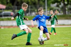 APO_Piast_Zmigrod_700_2598-20190504