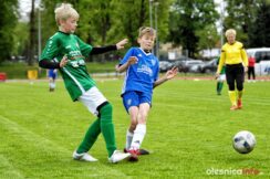 APO_Piast_Zmigrod_700_2616-20190504