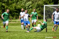 Dab_Bukowinka_75X_1442-20190526