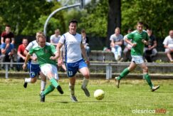 Dab_Bukowinka_75X_1445-20190526