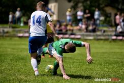Dab_Bukowinka_75X_1449-20190526