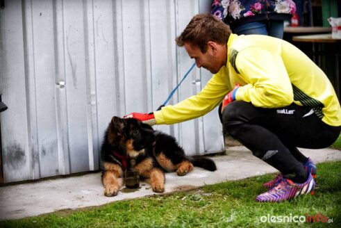 Piast_Dobrzen_OrzełII_Pawłowice75X_7439-20190505