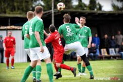 Piast_Dobrzen_OrzełII_Pawłowice75X_7507-20190505