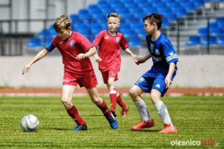 Pogon_Polinia_700_3009-20190511