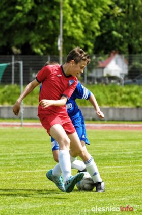 Pogon_Polinia_700_3017-20190511