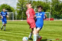 Pogon_Polinia_700_3020-20190511