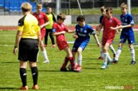 Pogon_Polinia_700_3021-20190511