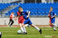 Pogon_Polinia_700_3024-20190511