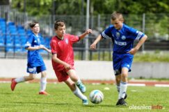 Pogon_Polinia_700_3033-20190511