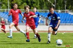 Pogon_Polinia_700_3034-20190511