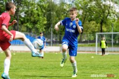 Pogon_Polinia_700_3038-20190511