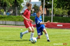 Pogon_Polinia_700_3039-20190511