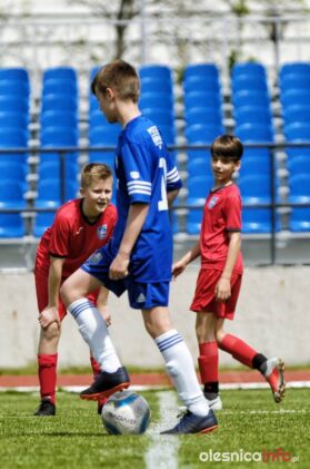 Pogon_Polinia_700_3043-20190511