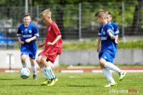 Pogon_Polinia_700_3044-20190511