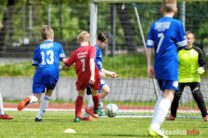 Pogon_Polinia_700_3045-20190511