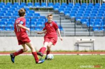 Pogon_Polinia_700_3047-20190511