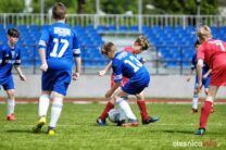 Pogon_Polinia_700_3057-20190511