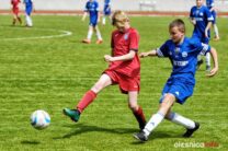 Pogon_Polinia_700_3058-20190511