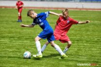 Pogon_Polinia_700_3060-20190511