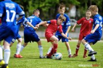 Pogon_Polinia_700_3075-20190511