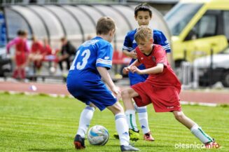 Pogon_Polinia_700_3079-20190511