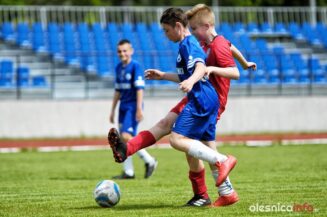 Pogon_Polinia_700_3085-20190511