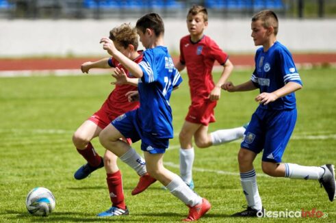 Pogon_Polinia_700_3091-20190511