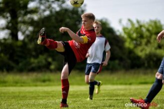 Stradomia_Wabienice_75X_1467-20190526