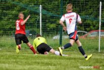 Stradomia_Wabienice_75X_1490-20190526