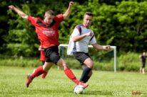 Stradomia_Wabienice_75X_1521-20190526