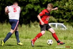 Stradomia_Wabienice_75X_1528-20190526