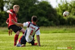 Stradomia_Wabienice_75X_1529-20190526