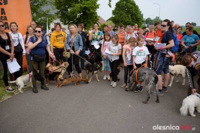 Bieg Przytul Pyska. W zawodach rywalizuje kilkadziesiąt zwierzaków i ich właściciele