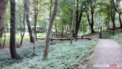 nagroda826_001-20190521