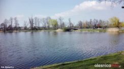 nagroda826_002-20190521