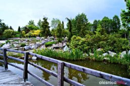 nagroda826_006-20190521