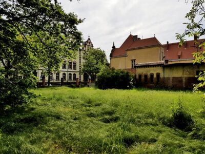 OFCA przedstawia nowe miejsce na festiwalowej mapie