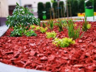 ogród-Przedszkole nr159112076_2638204876250604_3773411464283422720_n-20190504