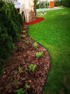 ogród-Przedszkole nr159345482_2638204979583927_2302425873103454208_n-20190504