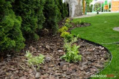 Złodzieje idą, jak po swoje. Kradną kwiaty i krzaki z miejskich rabat, i placów