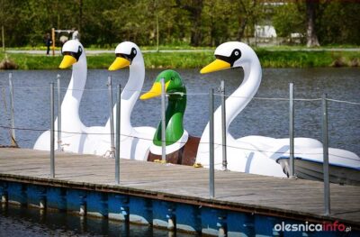 Ruszyła oleśnicka przystań wodna