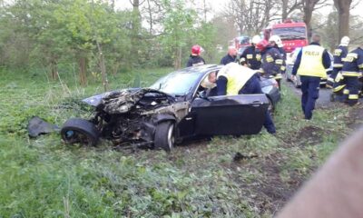 Samochód uderzył w drzewo. Czy kierowca był pod wpływem alkoholu lub środków psychoaktywnych?