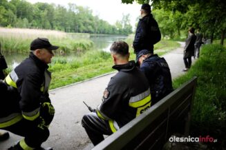 łabędź700_3644-20190516