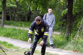 łabędź700_3652-20190516