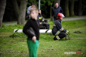 łabędź700_3678-20190516